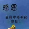 随梦而飞的头像