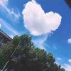 云中@yun的头像