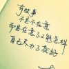 雾雨风的头像