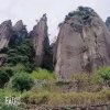 芳芳的头像
