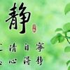 静心的头像