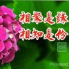 有妳真好的头像