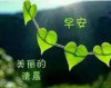 竹君的头像