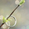 浅草茉莉的头像