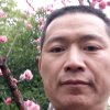 新龙馨思的头像