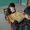 东海虾兵的头像
