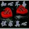 白杨的头像