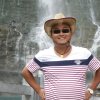 岭上青松的头像