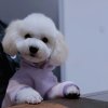 @wh的头像