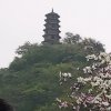 此号以停的头像