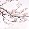 往事清零的头像
