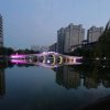 雄鹰的头像