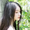 语馨的头像