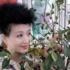 香香的头像