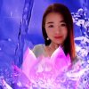 Y H王海娟的头像