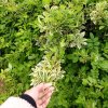 秋风过耳【不玩币】此号停用的头像