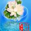 出水芙蓉的头像