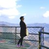 丽水伊人的头像