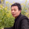 一直很安静的头像