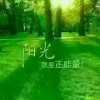 丹阳的头像