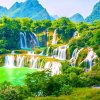 春天的燕子的头像
