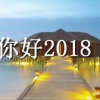 速度的头像
