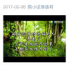 霹雳情的头像