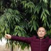逍遥情歌在飞扬《已退》的头像