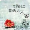 自由飞翔的头像