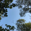 随缘的头像