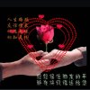 静心的头像