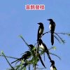 寻梦！的头像