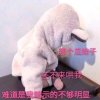 十二.的头像