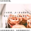 风儿的头像