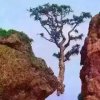 懂你的头像