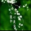 冰与火的头像