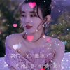 ༄༊࿆宠默默的头像