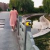 岁月如歌的头像