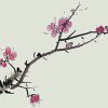 梅的头像