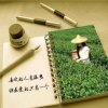 叶叶香，铁观音茶的头像