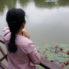 莲莲的头像