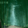 竹香的头像