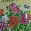 花 开富贵的头像