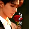 ღ᭄天若有情ꦿ的头像