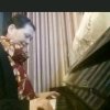 满萍的头像