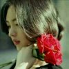 玖月 雪儿的头像