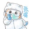 记忆支离破碎的头像