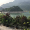 科敏的头像