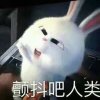 醉梦颠✘了宿昔的头像