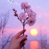 琴琴 的头像